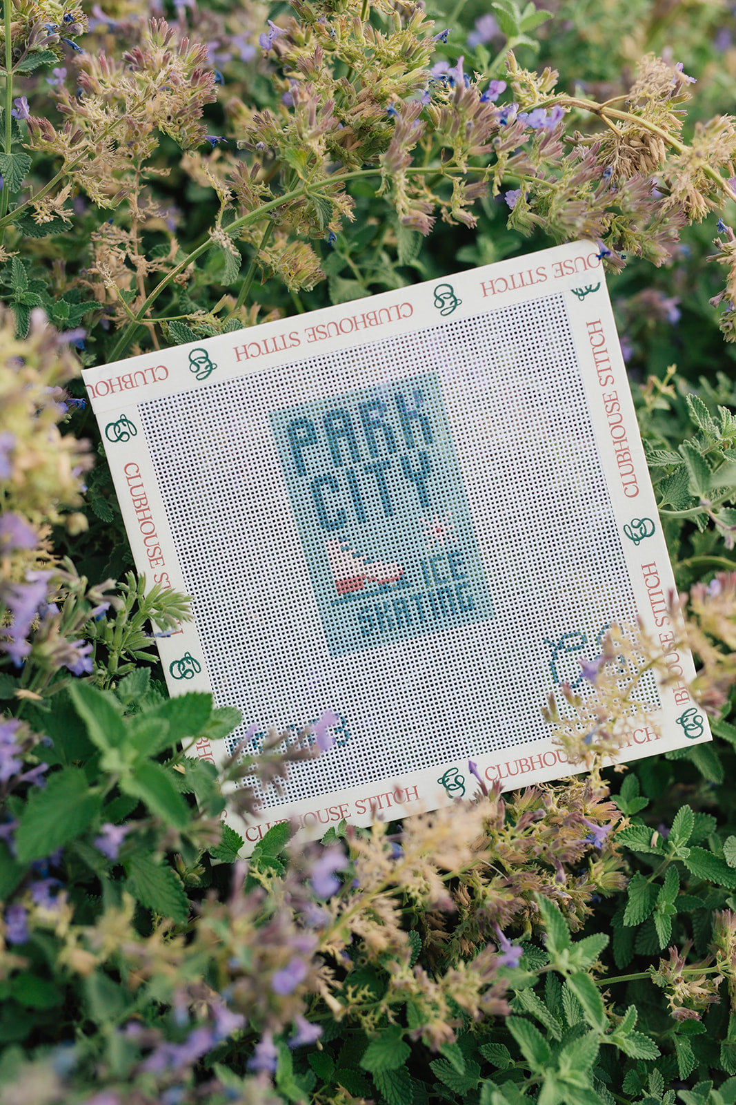 park-city-ice-skating-needlepoint-canvas-kit