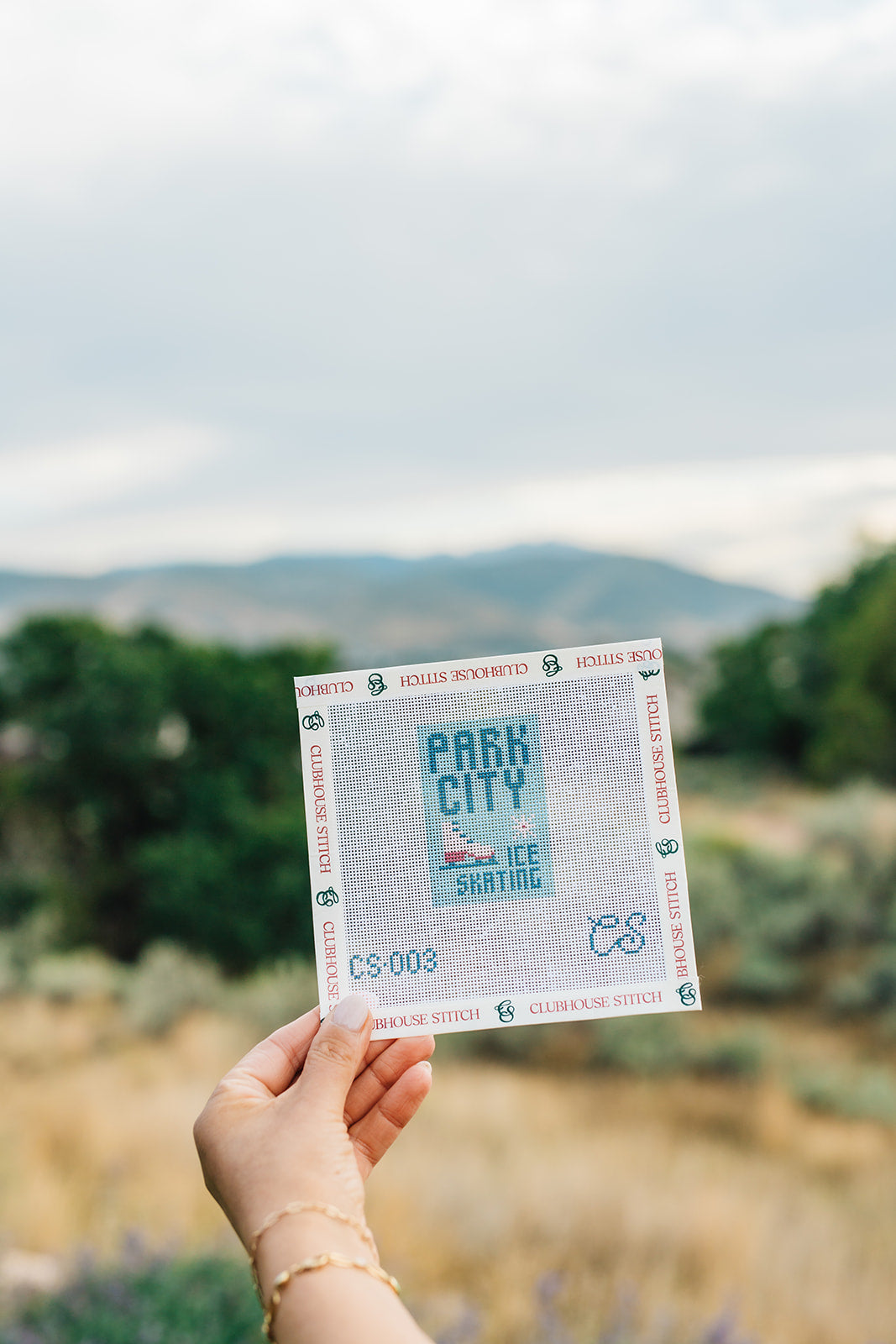 park-city-ice-skating-needlepoint-canvas-kit