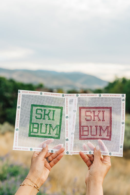 ski-bum-needlepoint-canvas-kit